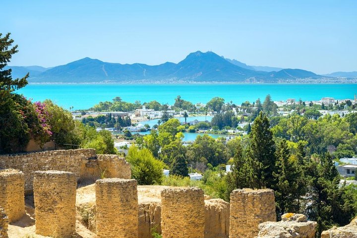 Excursion De Hammamet ou Tunis: Carthage, Bardo, Sidi Bou said et Médine à Tunis