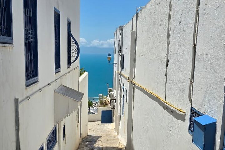 Excursion Journée Magique Bleu & Blanc : Médine, Sidi Bou Said & Carthage à Tunis