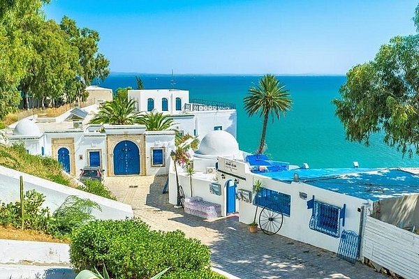 Excursion De Hammamet ou Tunis: Carthage, Bardo, Sidi Bou said et Médine à Tunis